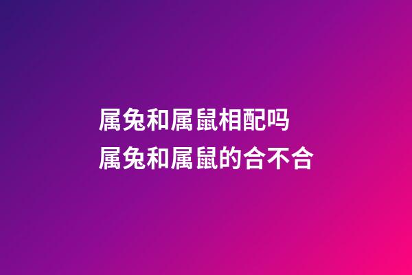 属兔和属鼠相配吗 属兔和属鼠的合不合-第1张-观点-玄机派